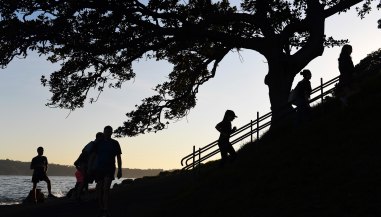 Early morning joggers enjoy the views and the green space on Sydney's foreshore:  A  new report seeks to value the contribution that the Royal Botanic Gardens and Domain Trust makes. 