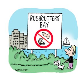 Watch out for oyster shells and that mangrove pong.