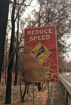 A roadside scarred by the raging bushfires at Eurobodalla.