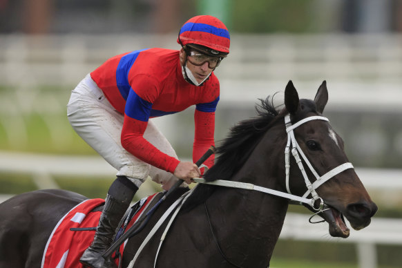 For the first time since last year’s Melbourne Cup, James McDonald will ride against Verry Elleegant.