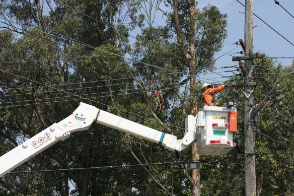 Ausgrid workers in Killara work to repair power lines following Wednesday's storm. 