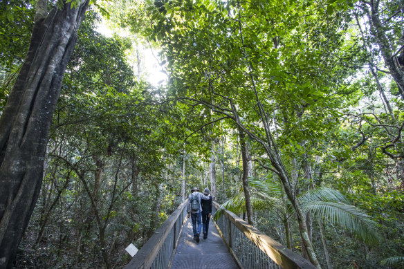 Scenic boardwalk through the Sea Acres National Park.