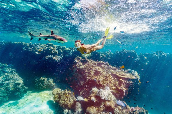 There are frequent stops for snorkelling amid manta rays and whitetip reef sharks.