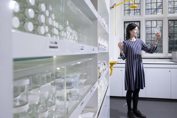 opioids-crisis-they-re-a-go-to-for-back-pain-but-new-study-suggests