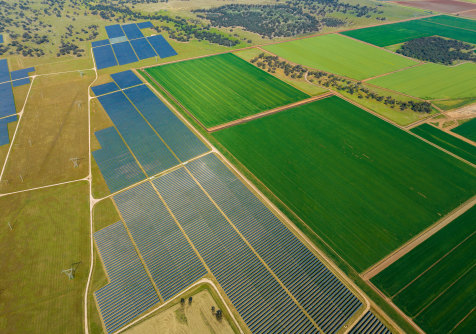The Darlington Point solar farm, in the Riverena, contains almost 1 million solar panels and provides cheap, clean green energy to more than 110,000 homes.