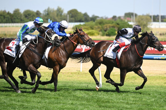 Mr Brightside beats Tom Kitten, centre, and I Wish I Win in the Futurity Stakes for his ninth group 1 win.
