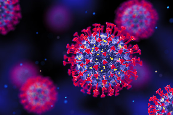 A 3D render of SARS-CoV-2, the virus that causes COVID-19.