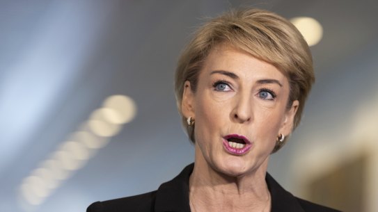 Former workplace relations minister Michaelia Cash.