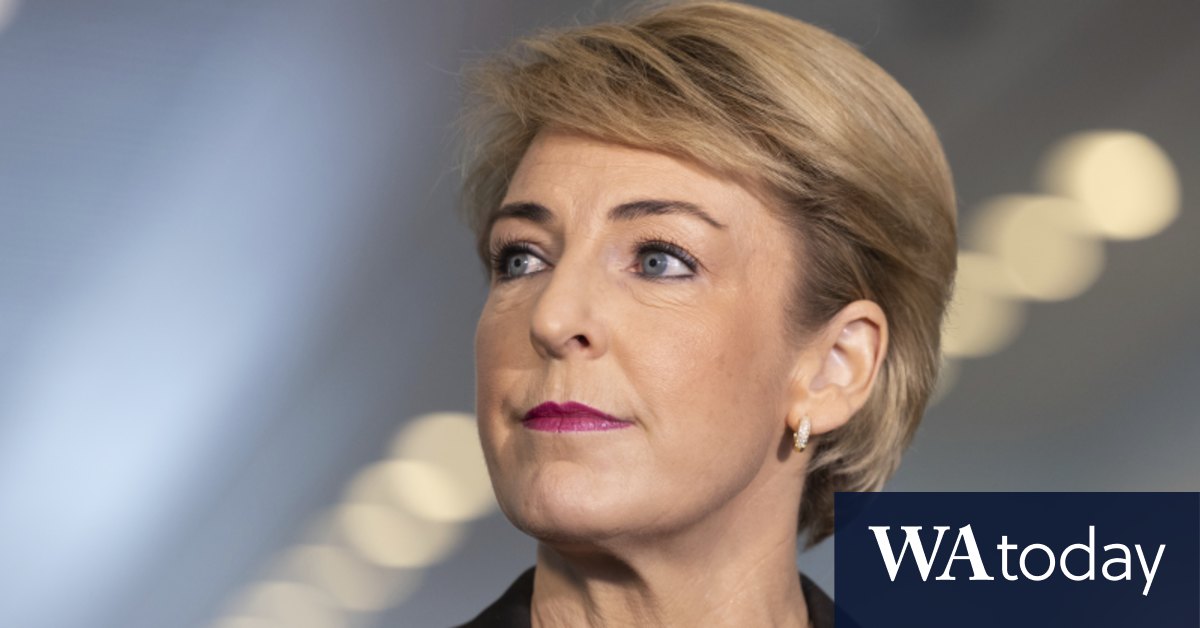 Gig economy reforms could compromise tradies, sole operators, says Michaelia Cash