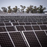 ‘No moral or ethical foundation’: Solar fund wipeout raises investor hackles