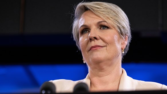 Scientists are calling on the Environment Minister Tanya Plibersek to accept “our shared climate reality, heed the science and ensure all environmental assessments of new gas and coal projects are responsible and evidence-based”.