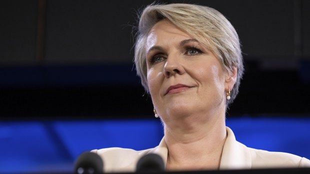 Scientists are calling on the Environment Minister Tanya Plibersek to accept “our shared climate reality, heed the science and ensure all environmental assessments of new gas and coal projects are responsible and evidence-based”.