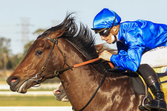 Anamoe will head to Melbourne for the Caulfield Guineas.