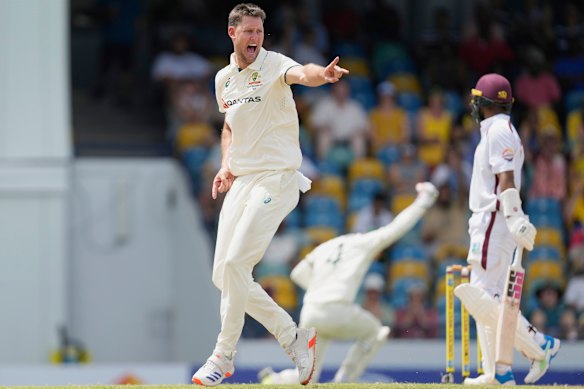 Australia’s Beau Webster celebrates taking the wicket of West Indies’ Shai Hope on day two. 
