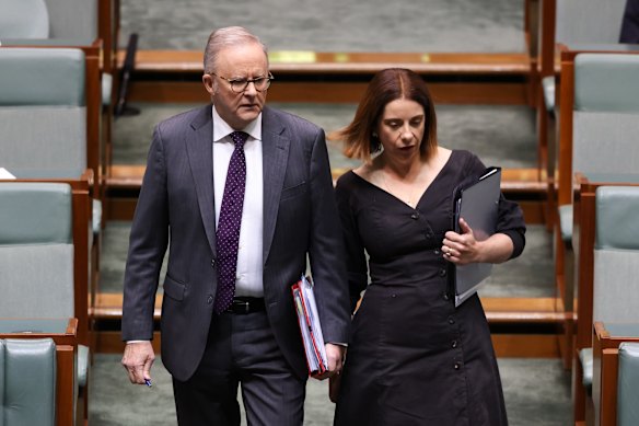 Tim Costello said the latest package from Prime Minister Anthony Albanese and Communications Minister Anika Wells was a backwards step on streaming – where a growing number of Australians watch sport.
