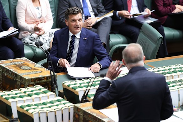 Opposition Leader Angus Taylor and Prime Minister Anthony Albanese face off in parliament earlier this year. 