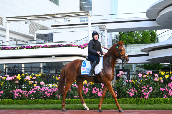 Vauban zipped around Flemington on Tuesday, impressing opposition trainer Mick Price.