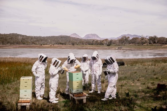 A hive of activity... Saffire, Tasmania.