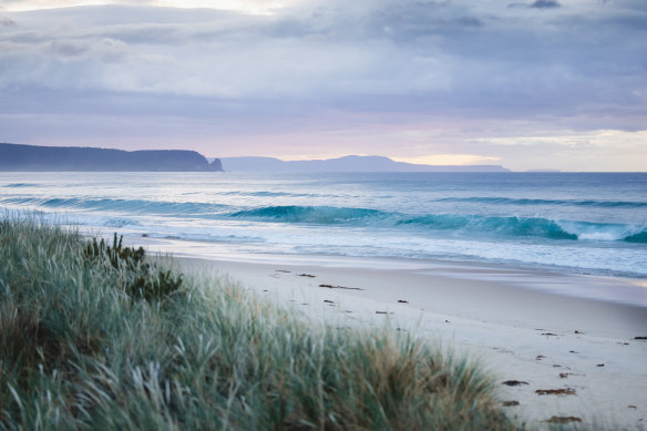 The beach near The Neck, the isthmus that connects north and south Bruny Island.