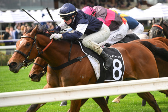 Jamie Kah’s original Melbourne Cup ride Point King has been pulled out of the race.