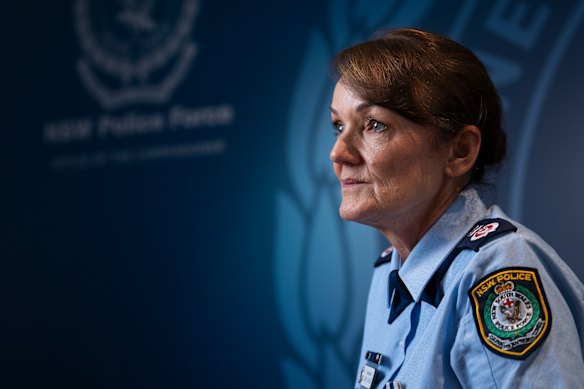 Retiring Police Commissioner Karen Webb has been appointed a special adviser to the state government on domestic violence.
