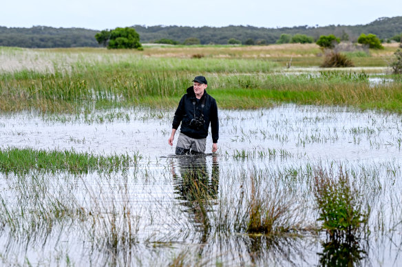 Ben Cullen at the Tootgarook Wetlands. 