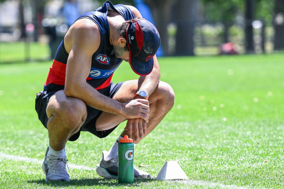 Christian Petracca’s horrible injury run has continued.
