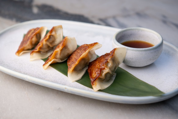 Wagyu gyoza.