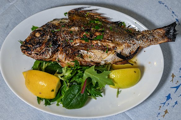 Depois de experimentar o peixe na Jim's Greek Tavern, Kokkinakis se converteu. 