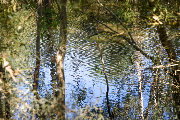 “The concept of the Birrarung is more than just the main river … It’s the lifeblood of Country.”