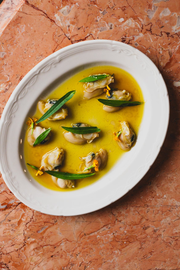 Ballina pippies with tarragon and tomato vinaigrette.