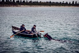 Trainer Shane Jackson works Victoria Derby hopeful King Snitz in Warrnambool’s Lady Bay.