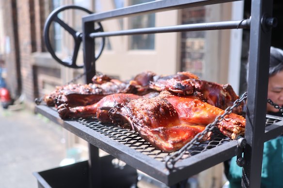 Porco Zebu de Takam.