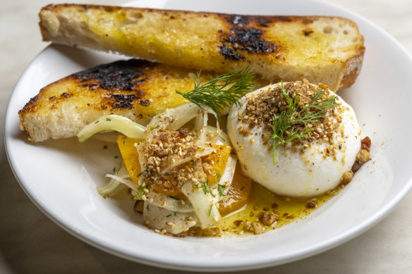 Burrata is accompanied by a zippy salad of shaved fennel and citrus.