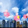The market is expecting bank dividend increases in years ahead as interest rates rise.