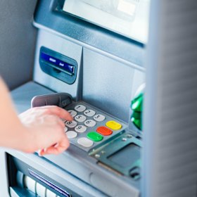 A disappearing species