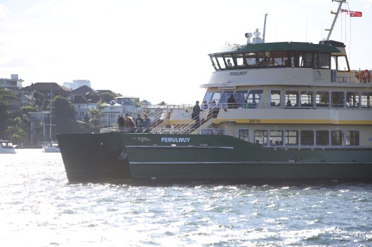 A steering malfunction that caused a Sydney ferry to veer into the path of another, larger vessel on the city’s busy harbour was not reported to the relevant safety authority. 