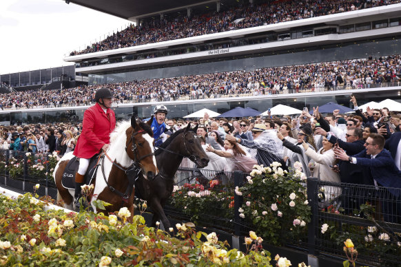 Gold Trip and jockey Mark Zahra soak up the adulation on Melbourne Cup Day.