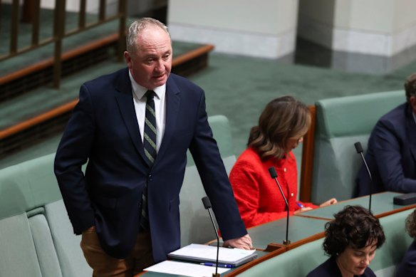 Member for New England Barnaby Joyce during question time at Parliament House in March. 