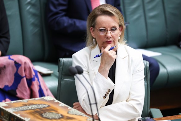 Liberal Party leader Sussan Ley. Accusing Prime Minister Anthony Albanese of being responsible for the attacks was not just wrong, it was reckless.