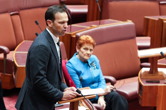 Nationals leader Matt Canavan speaks in the Senate in May as One Nation leader Pauline Hanson looks on.