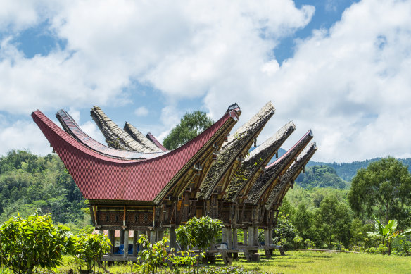 Traditional Tongkonan Houses of the Toraja people.