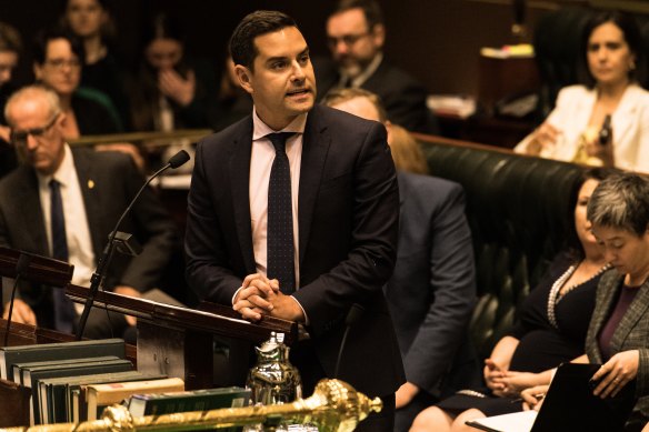 Sydney MP Alex Greenwich speaks during debate to decriminalise abortion in NSW.