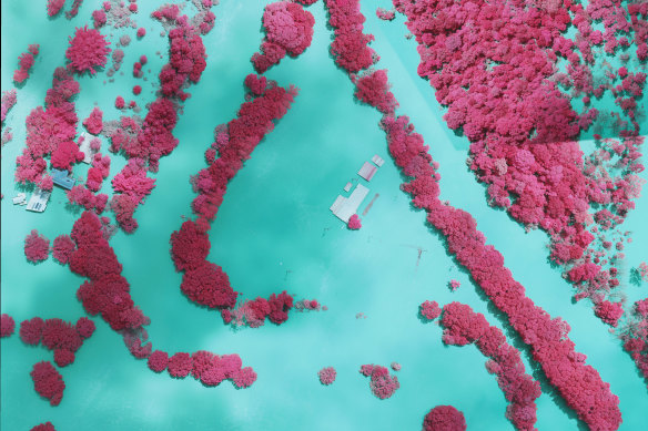 Infrared imagery such as this photograph from Lismore this week assists first responders in flood events. 