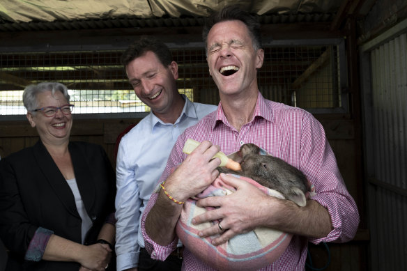 Labor leader Chris Minns (right, nursing wombat) with Goulburn candidate Michael Pilbrow and Sharpe on the campaign trail in March.