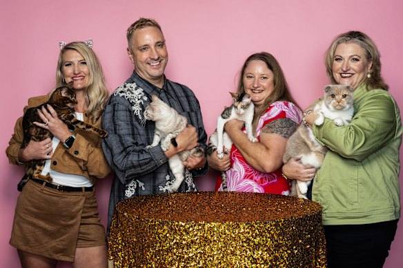 Meserve (holding Wild Valley Snow Khione, a seal lynx tabby point Snow) with cat owners Barbie Farrugia, left, holding her brown tabby clouded Bengal, Friday, Colleen Blair with her Cornish rex, Sage, and Meredith White with her Scottish fold, Damewood Octavia.