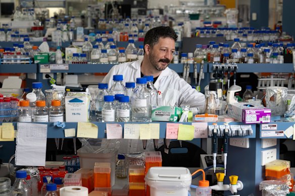 Dr Hugh Goold at his lab within the ARC Centre of Excellent for Synthetic Biology at Macquarie University.