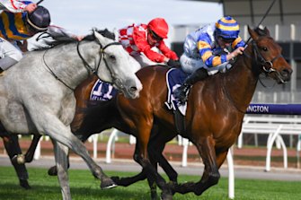 Long Jack holds off Southern Moon in the Geelong Classic.