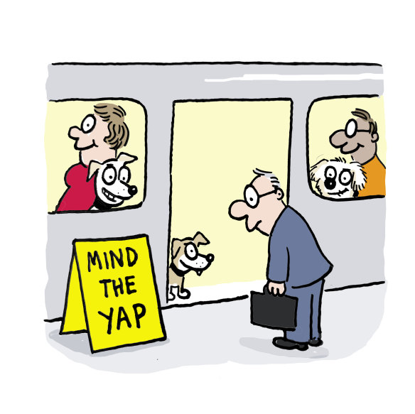 Should dogs be allowed on Sydney public transport?