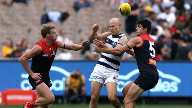 Happy returns: Geelong's Gary Ablett Jnr gets the ball away under pressure from Christian Petracca and Mitch Hannan of Melbourne.